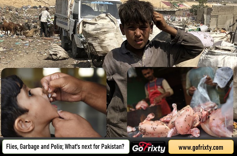 flies garbage, and polio challenges being faced by Pakistan