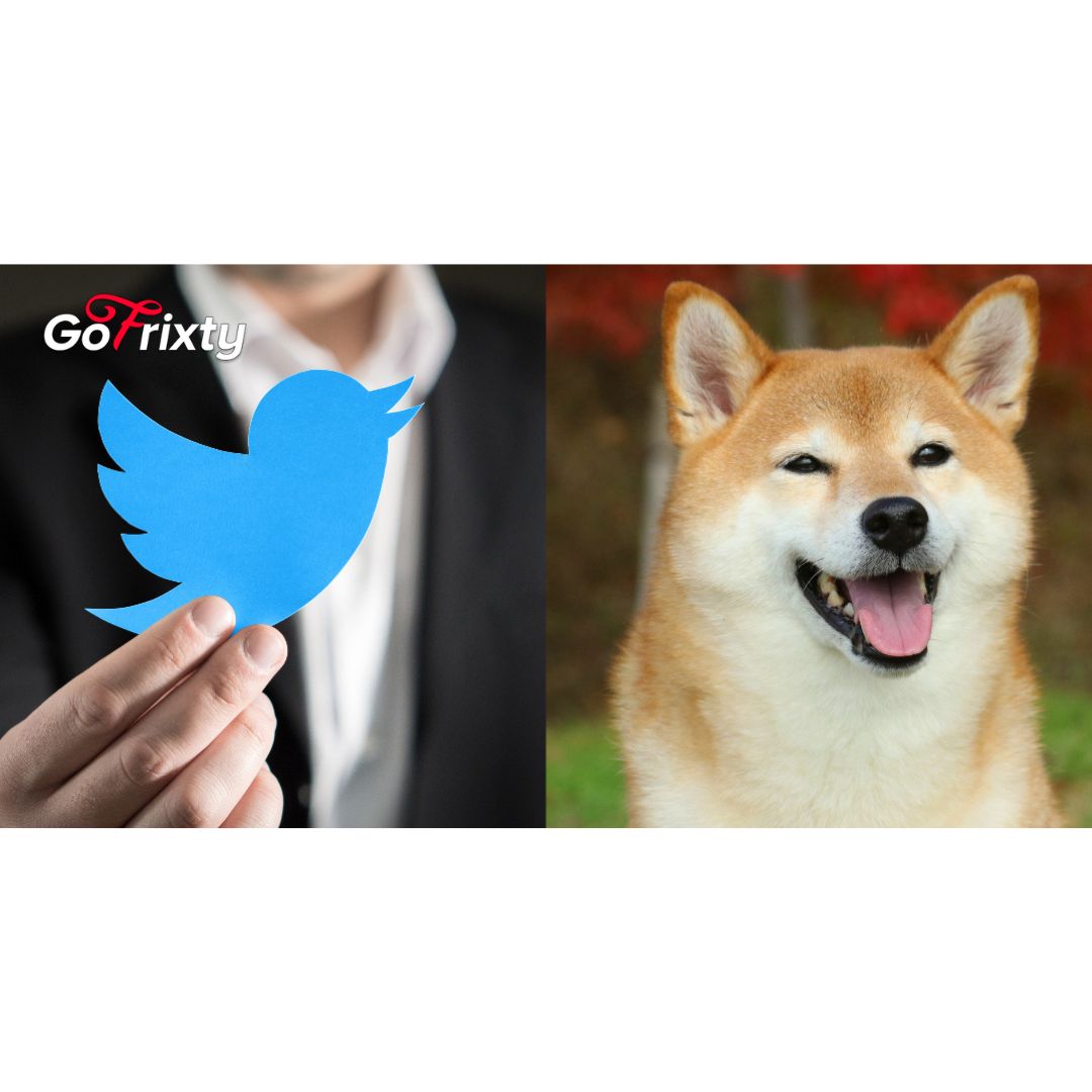 Twitter Bird replaces with Dog