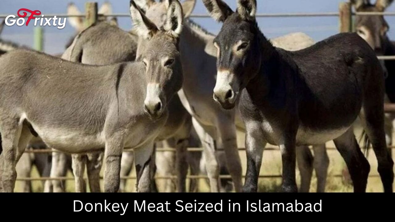 Donkey meat seized in Islamabad