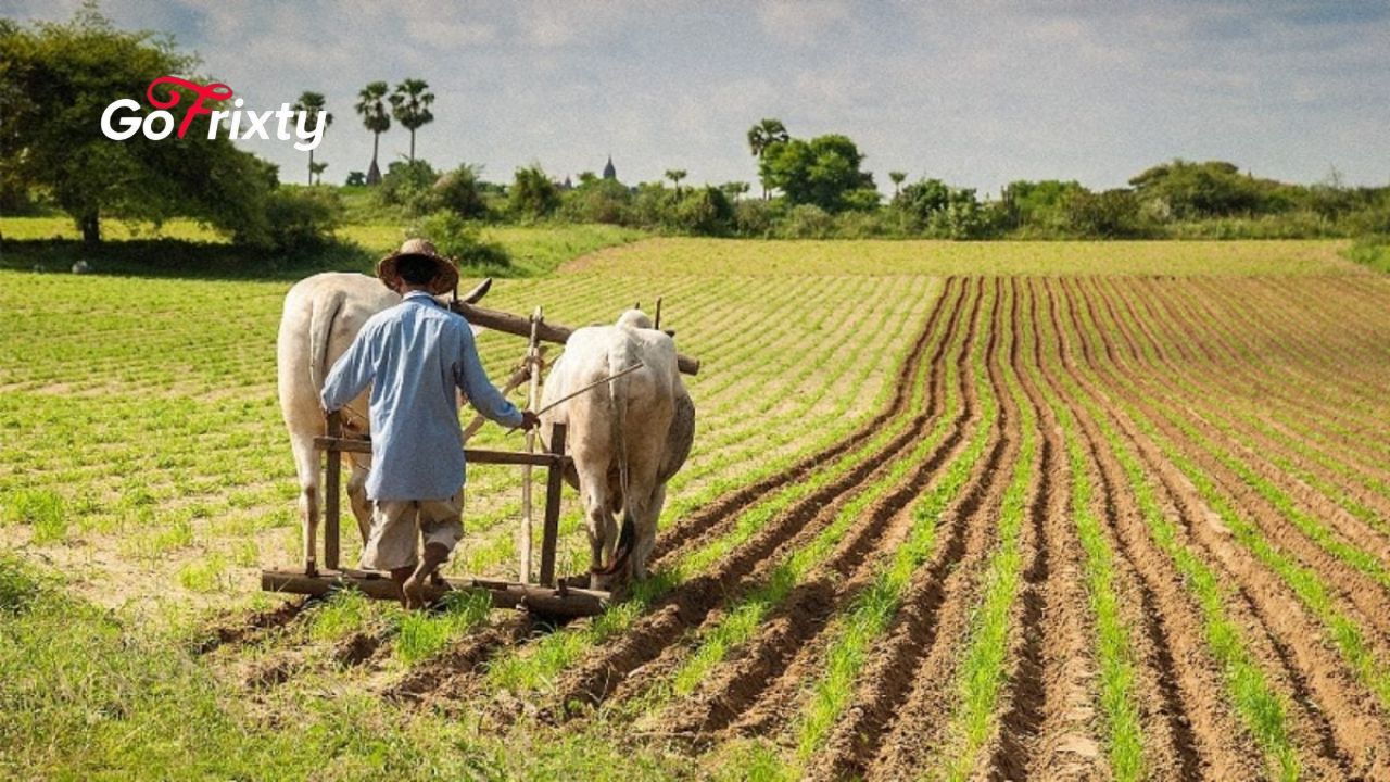 Govt Proposes Rs. 10 Per Unit Relief for Enterprises, Farmers